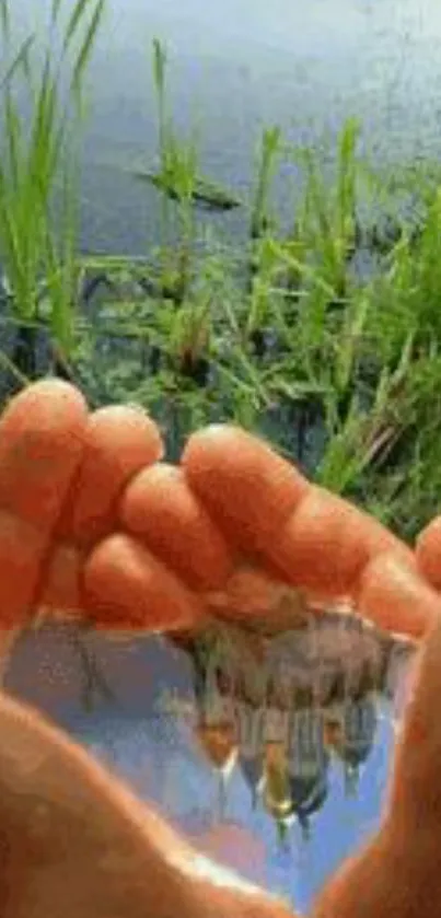 A reflective scene with hands cupping water, surrounded by lush green grass.