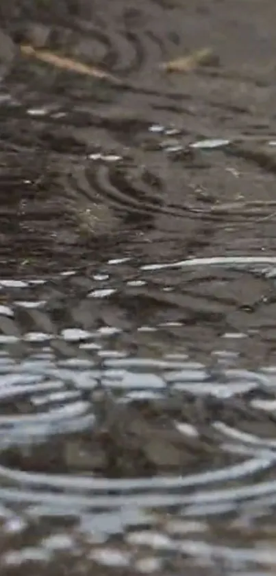 Reflective raindrops creating patterns on a dark pavement.