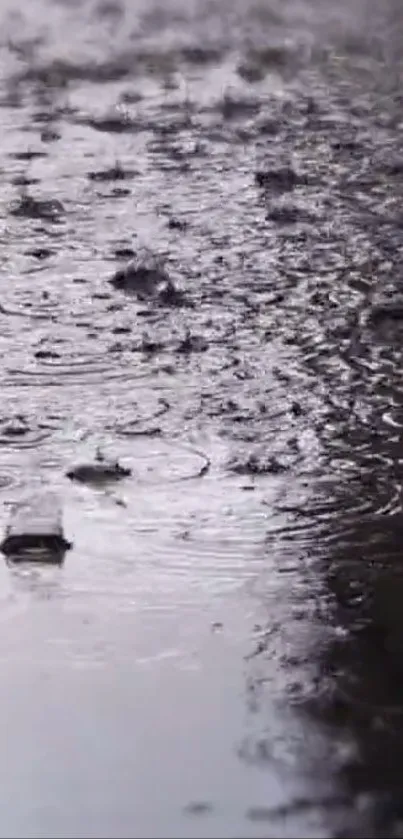 Reflective wet pathway with raindrops on surface