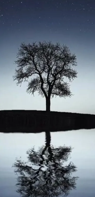 Silhouette of a tree reflected in water under a starry night sky.