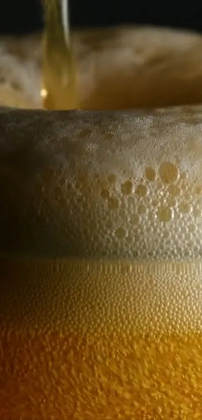 Close-up of frothy beer pour with bubbles.