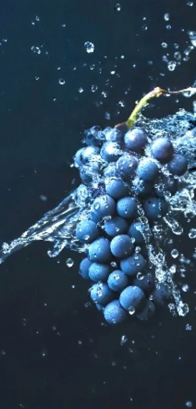 Vibrant blueberry with water splash on dark blue background.