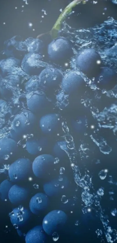 Blue grapes with water splash for mobile wallpaper.