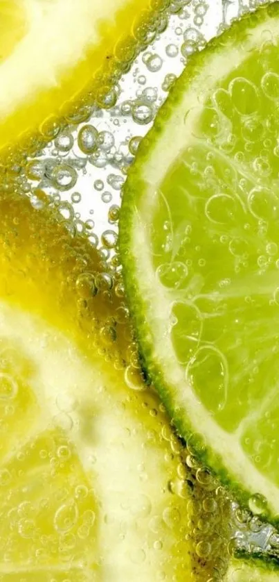 Close-up of lemon and lime slices, vibrant yellow and green color, refreshing bubbles.