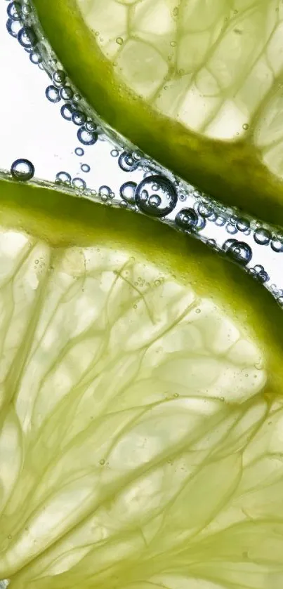 Close-up of lime slices with bubbles on a fresh green background.