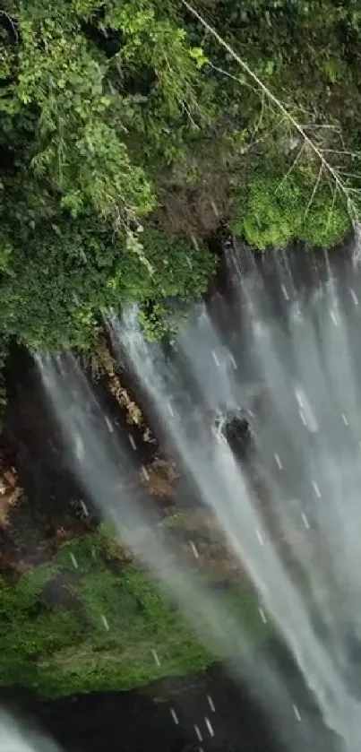 Majestic waterfall cascading through lush forest greenery and rocks.