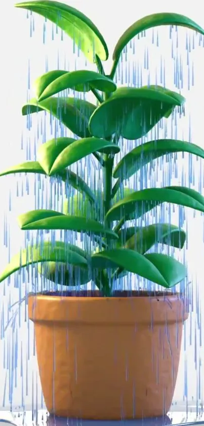 Vibrant green plant in a pot with rain for mobile wallpaper.