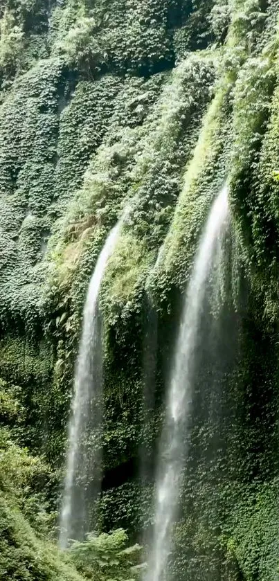 Lush green forest waterfall for mobile wallpaper.