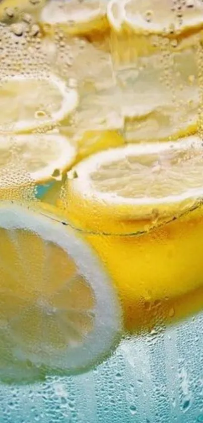 Close-up of lemon slices with water droplets on a vibrant yellow and blue background.