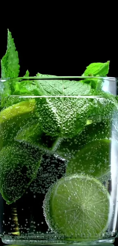 Glass of lime and mint cocktail with bubbles on a dark background.