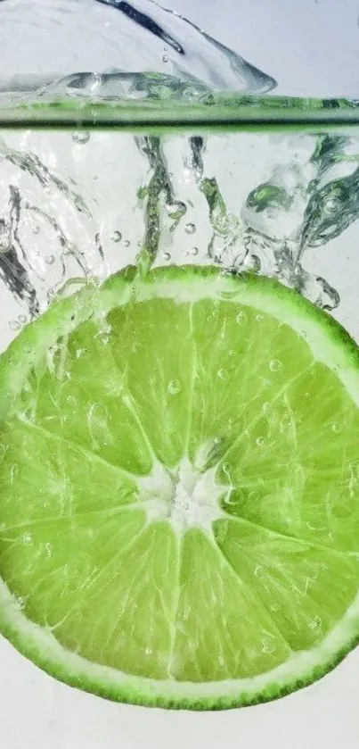 Vibrant green lime slice splashing into water.