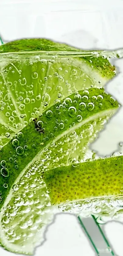 Close-up of lime slices with bubbles in water, vibrant and refreshing.