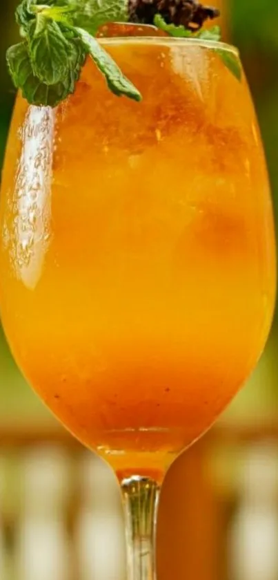 Orange cocktail with mint leaves in a glass.