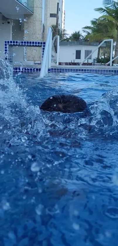 A refreshing splash in a blue pool with summer vibes.