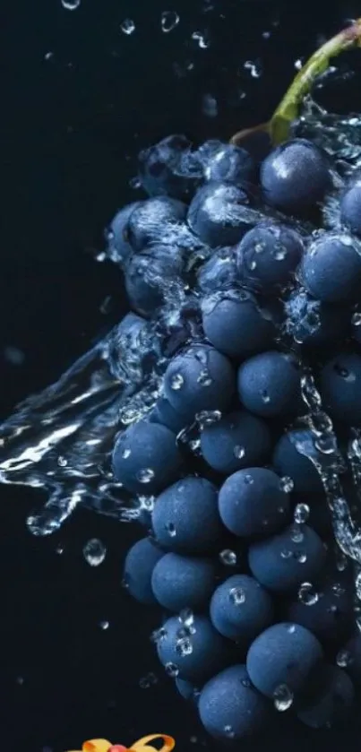 Mobile wallpaper featuring a vivid splash of grapes with water droplets.