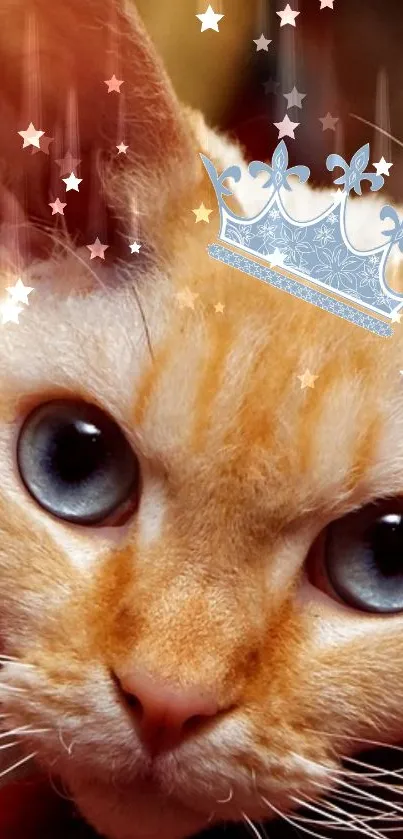 Close-up of a cat with blue eyes and a crown on its head, under a starry sky.