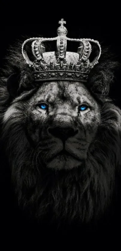 Majestic lion with a crown on a black background.