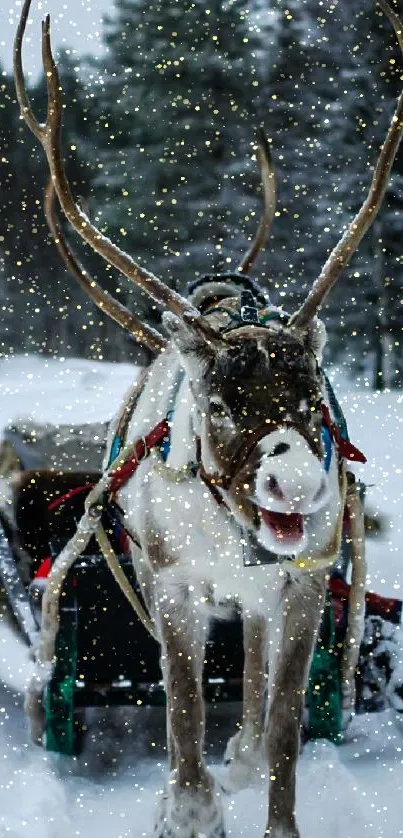 Majestic reindeer pulling sled in snowy, forested landscape.