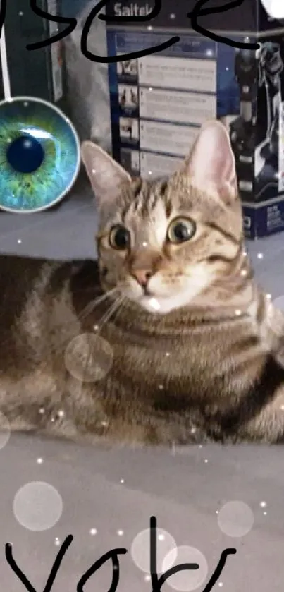 Tabby cat relaxing on a gray floor with "see you" text.