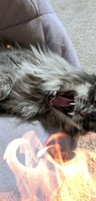 Yawning fluffy cat lying on a plush bed.