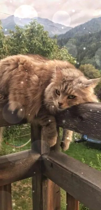 Fluffy cat relaxing on a wooden fence with scenic background.