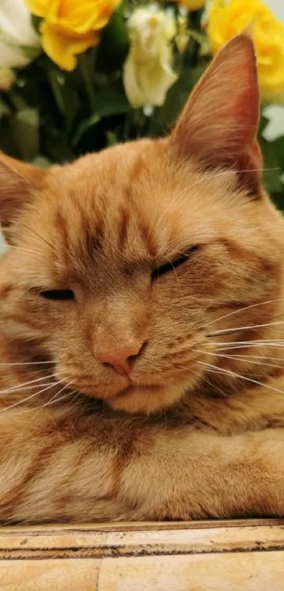 Orange cat resting with flowers in background.