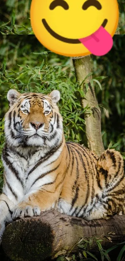 Majestic tiger relaxing in lush jungle with vibrant greenery.