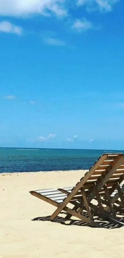 Wooden chairs on a peaceful beach under a blue sky.