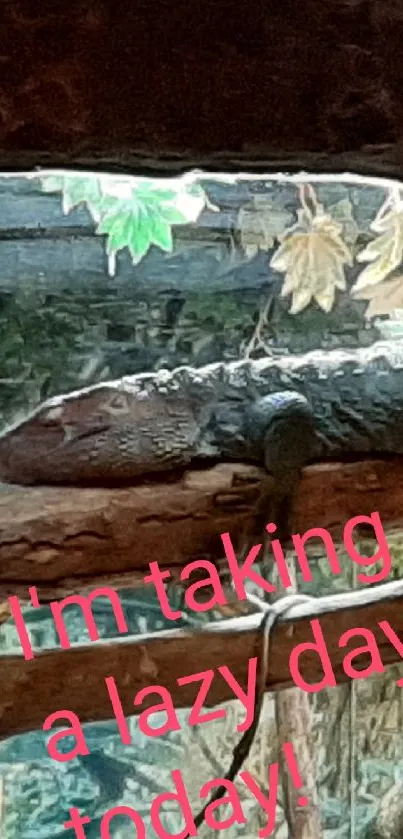 Iguana relaxing on a branch with a lazy day message.