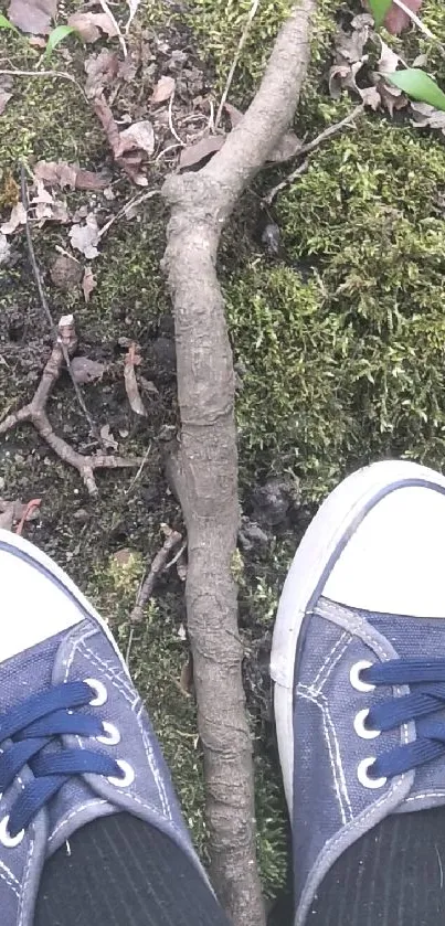 Feet in sneakers on a mossy forest path.