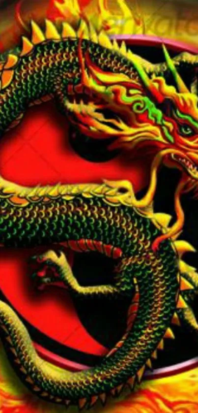 Reptile Green Terrestrial Animal Live Wallpaper