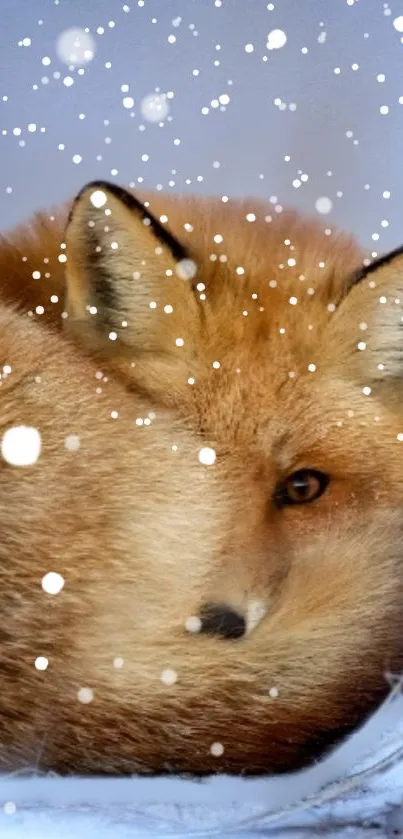 Serene fox resting in snow with falling snowflakes.
