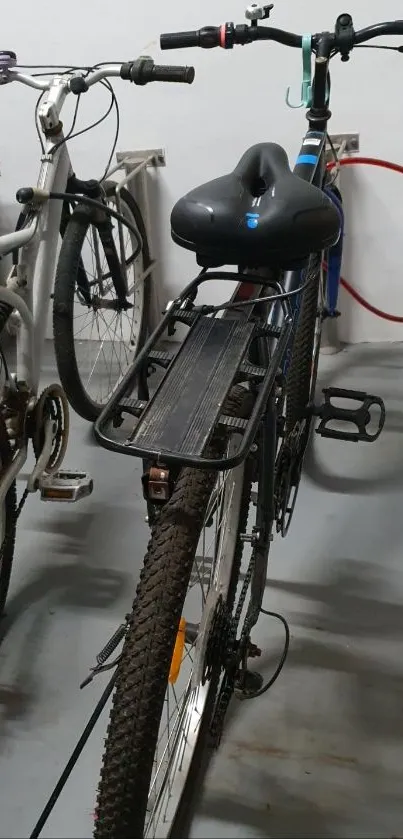 Three parked bicycles in a row, highlighting urban bicycle storage.