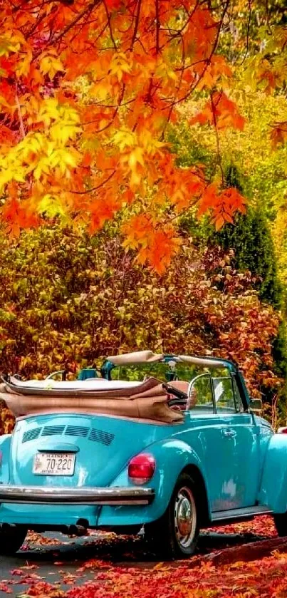 Blue vintage car amidst autumn leaves and vibrant trees.