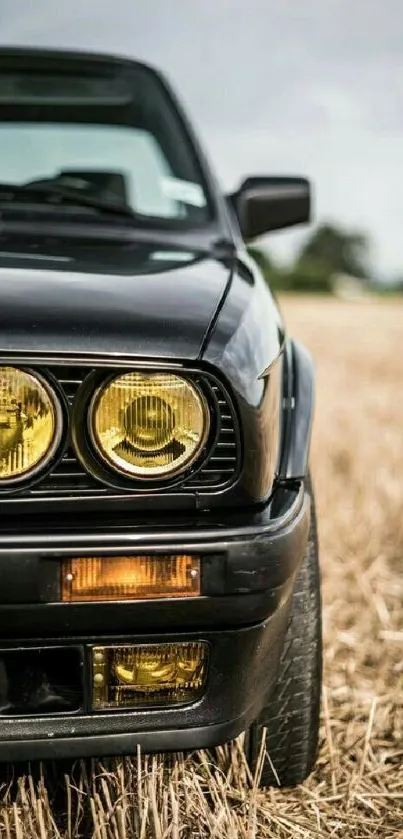 Retro black car with yellow headlights in a field.