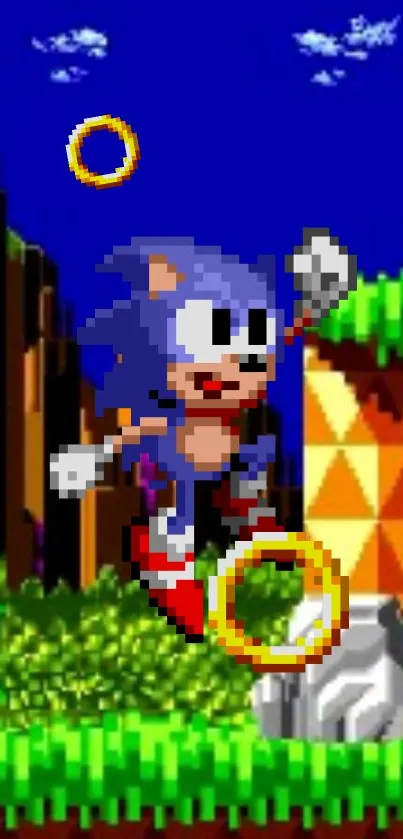 Retro Sonic character in pixel art with a blue background and golden rings.