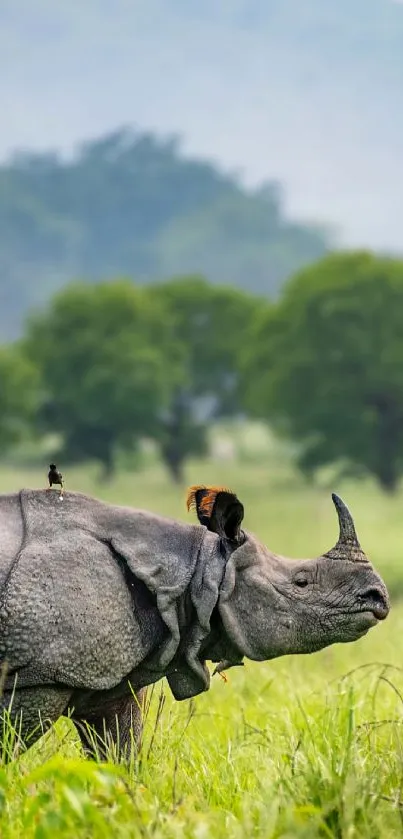 Mobile wallpaper of a rhino in a lush green landscape with trees in the background.