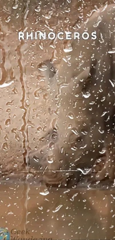 Rhinoceros peacefully drinking by a rain-speckled glass.