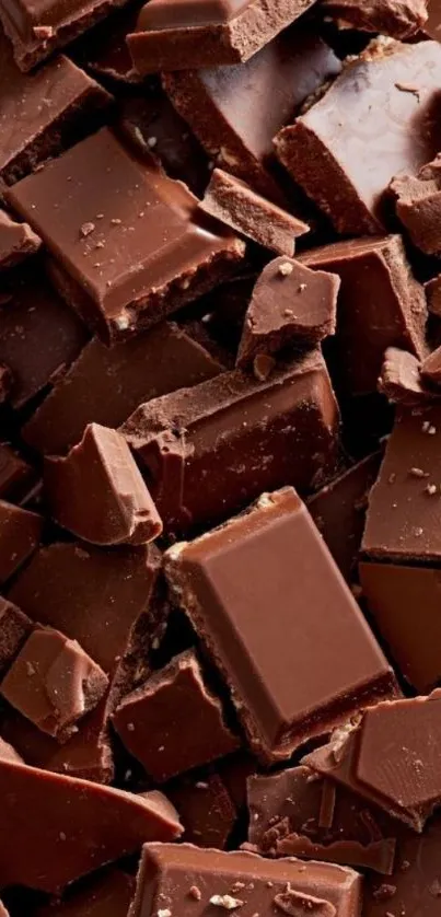 Chunks of rich, dark chocolate pieces scattered stylishly.