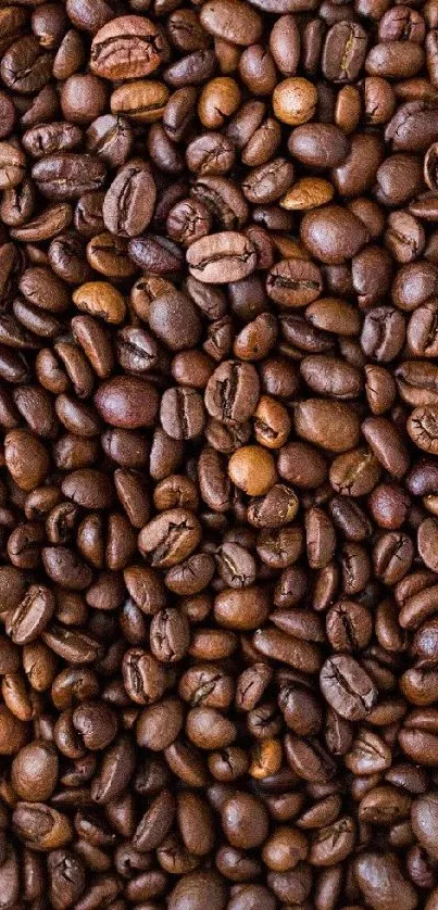 Richly detailed roasted coffee bean wallpaper.