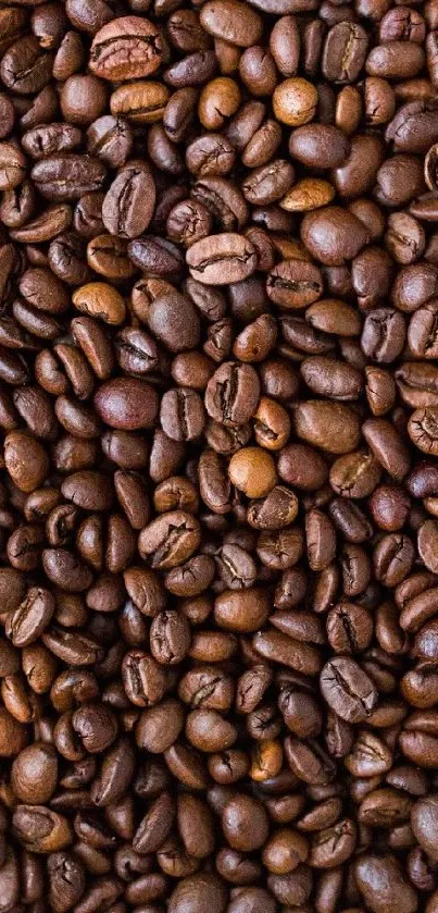 Close-up of rich brown roasted coffee beans creating a textured pattern.