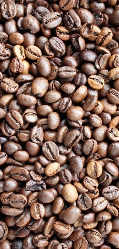 Up-close roasted coffee beans wallpaper.