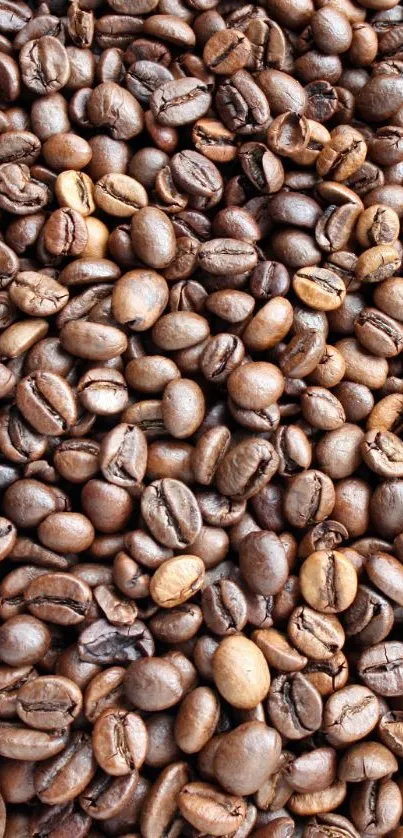 A close-up view of roasted coffee beans in rich brown hues.