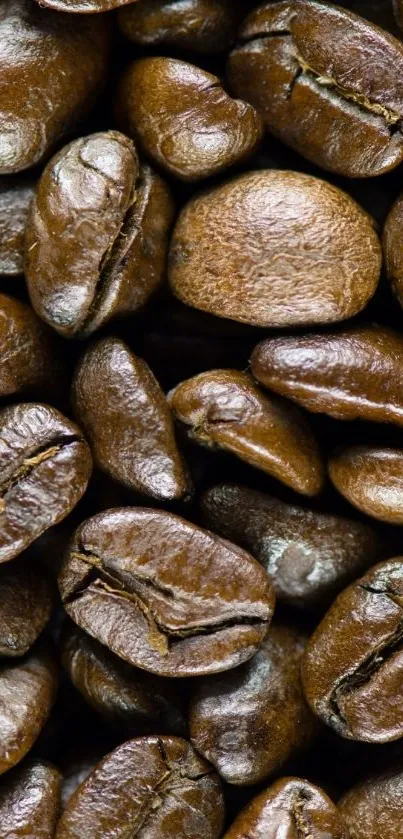 Close-up of brown coffee beans in a detailed texture.