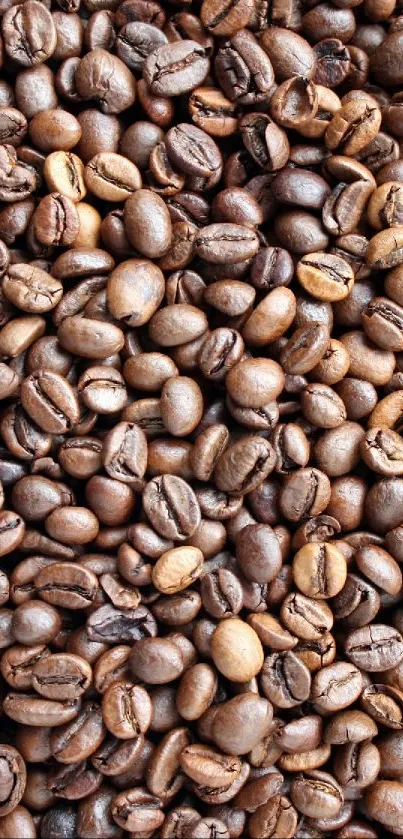 Close-up of roasted coffee beans enhancing brown tones.