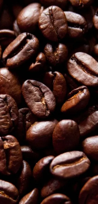 Close-up of dark roasted coffee beans as mobile wallpaper.