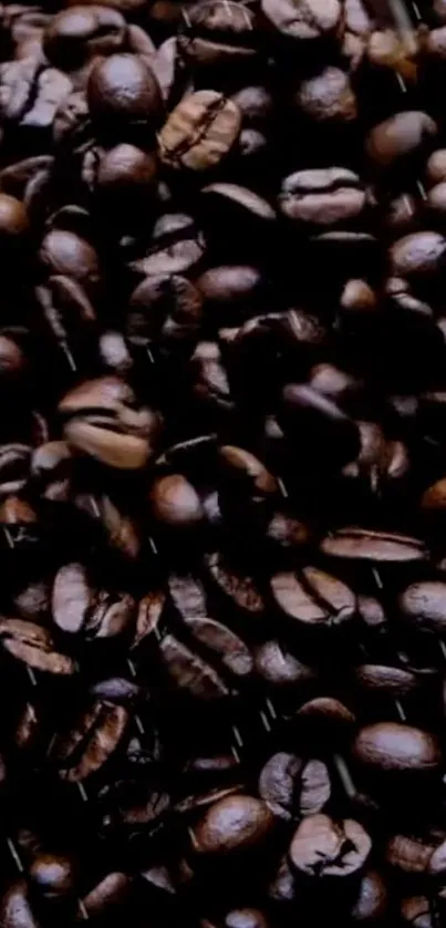 Dark brown coffee beans wallpaper with rich texture.