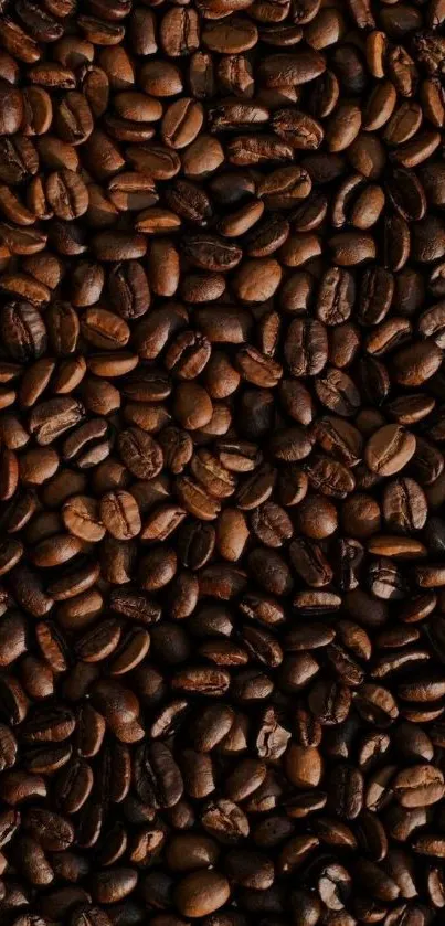 Rich textured coffee bean wallpaper for mobile.