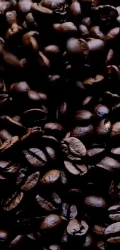 Close-up of dark roasted coffee beans filling the screen.