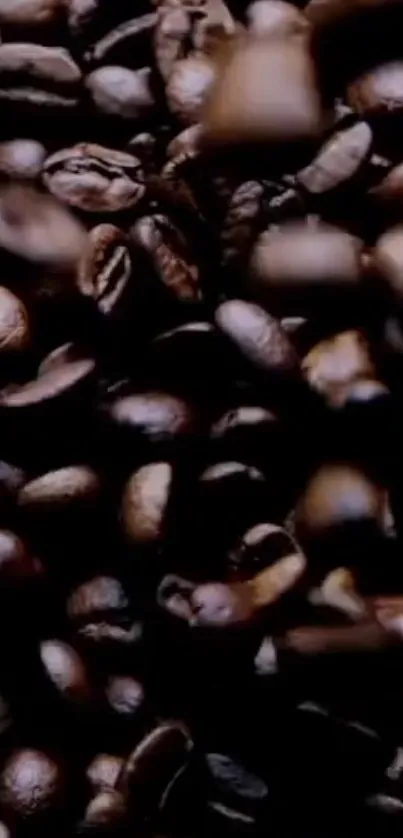 Close-up of rich roasted coffee beans.